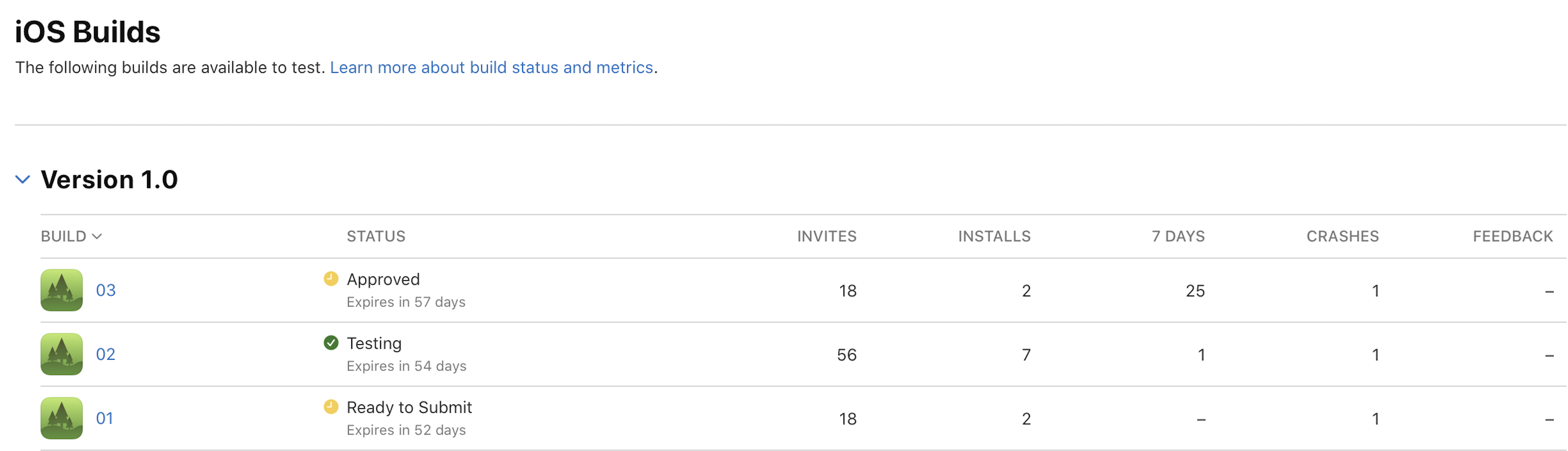 Screenshot of the TestFlight tab, where there’s a list of builds under  "Version 1.0".  Each build has a clickable icon and build strings.